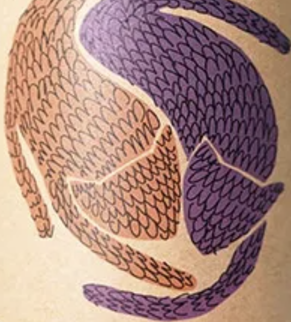 TABC label artwork for Fattoria Al Fiore Bucci