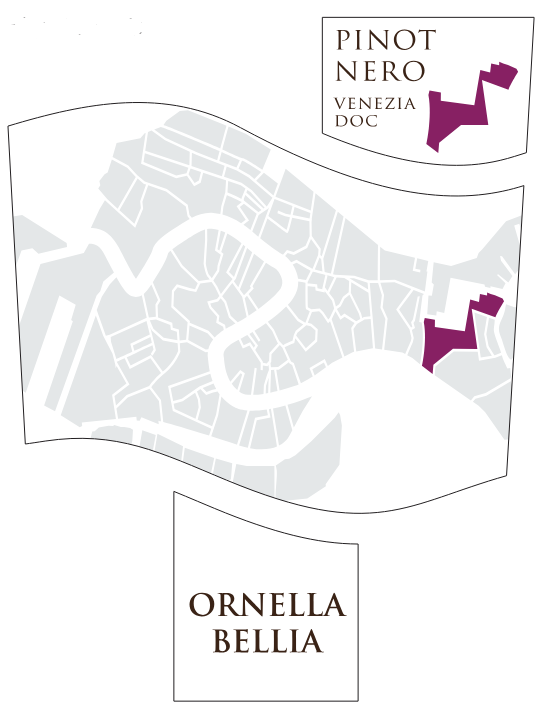 TABC label artwork for ORNELLA BELLIA PINOT NERO