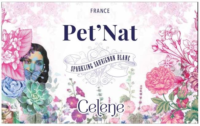 TABC label artwork for PET'NAT SAUVIGNON BLANC