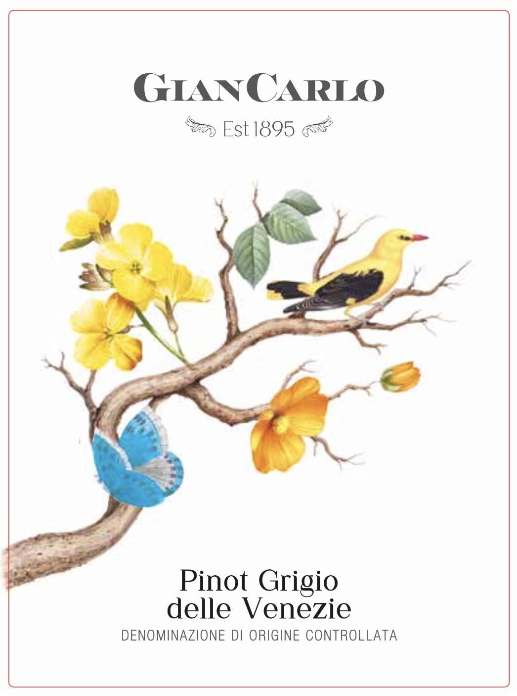TABC label artwork for GIANCARLO PINOT GRIGIO