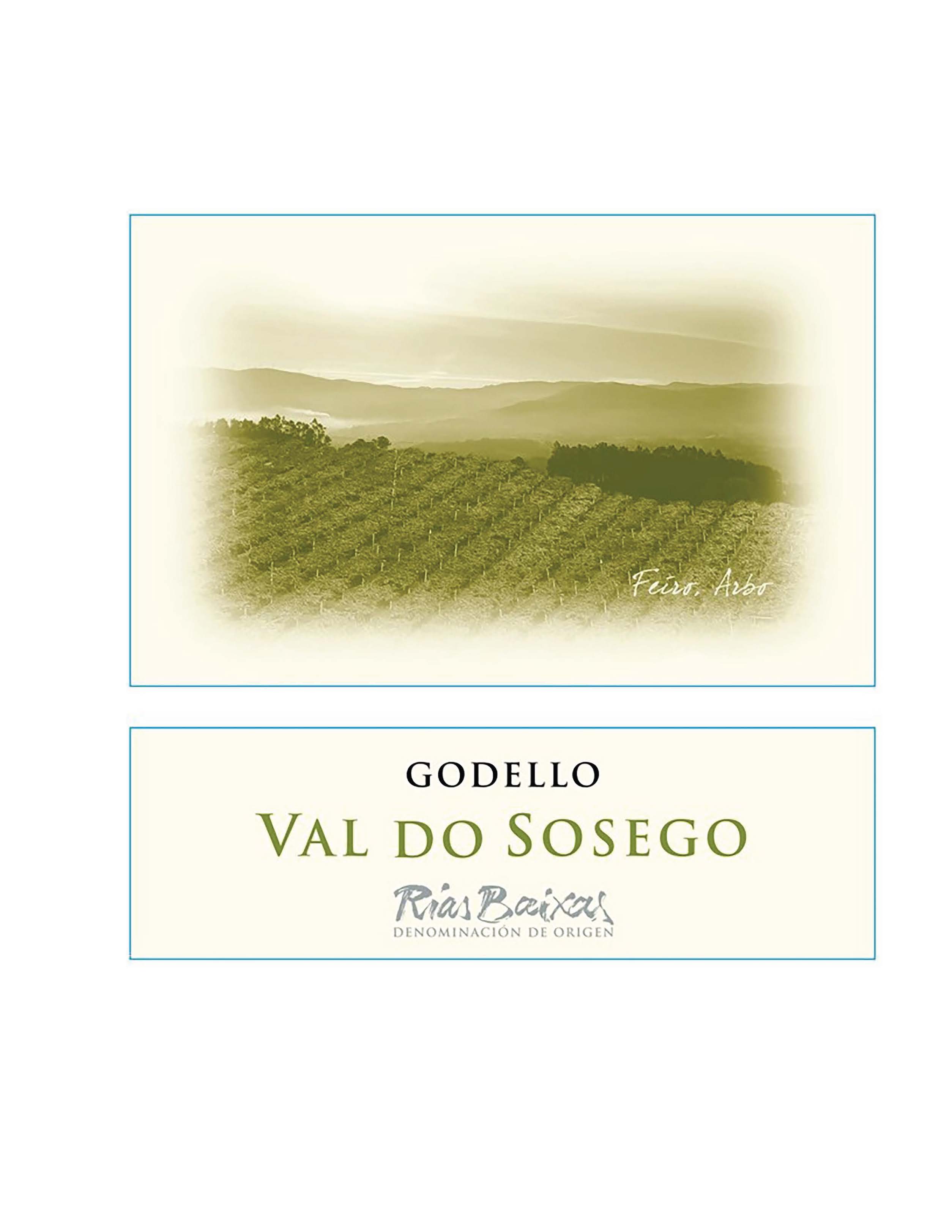 TABC label artwork for Val do Sosego Godello