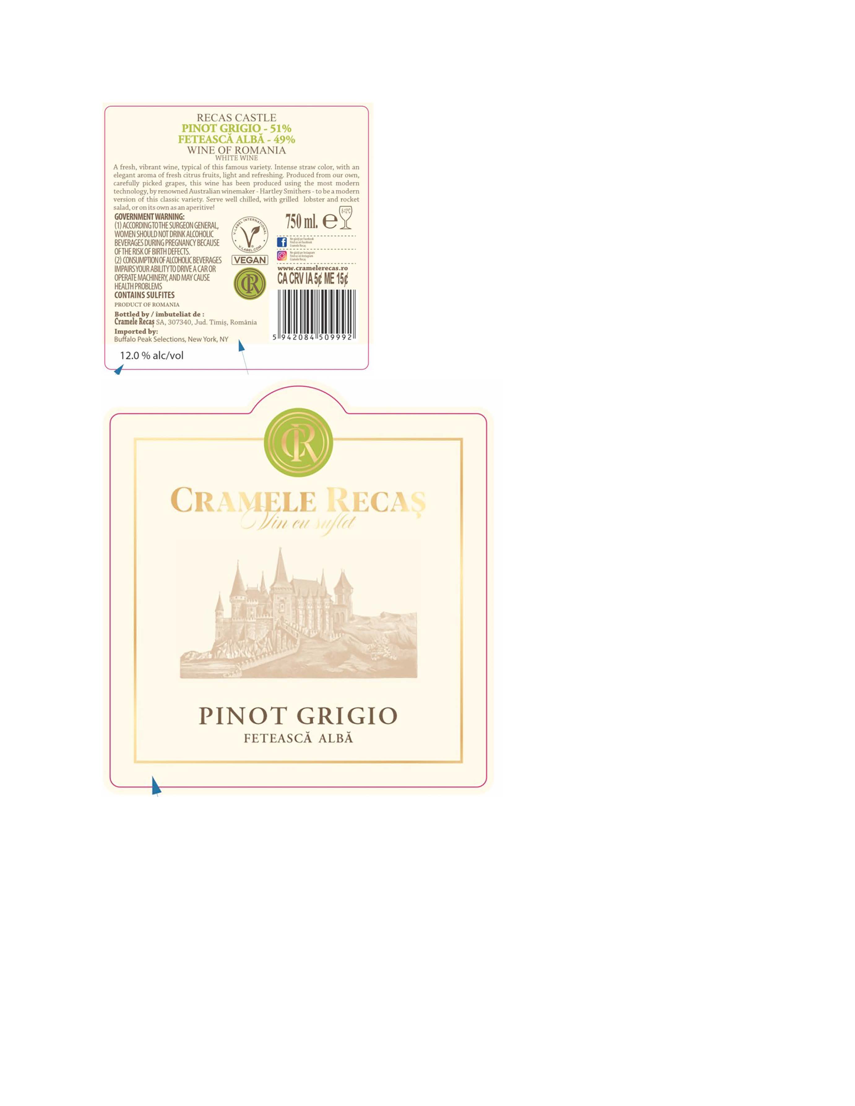 TABC label artwork for Recas Castle Pinot Grigio Feteasca Alba