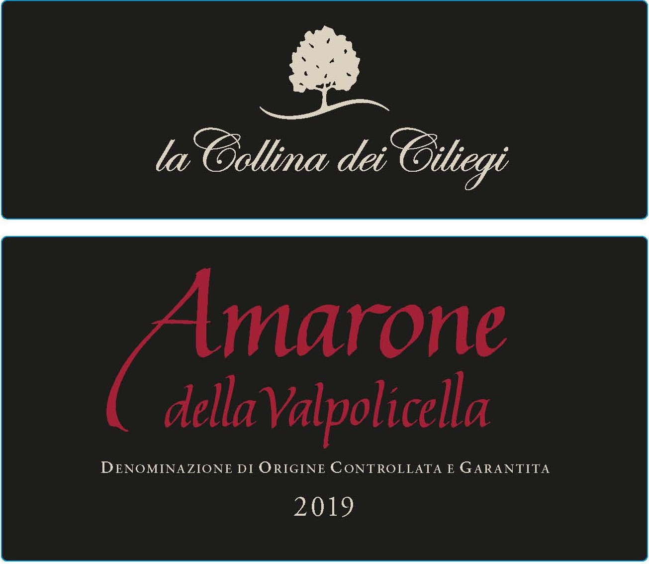 TABC label artwork for LA COLLINA DEI CILIEGI AMARONE DELLA VALPOLICELLA DOCG