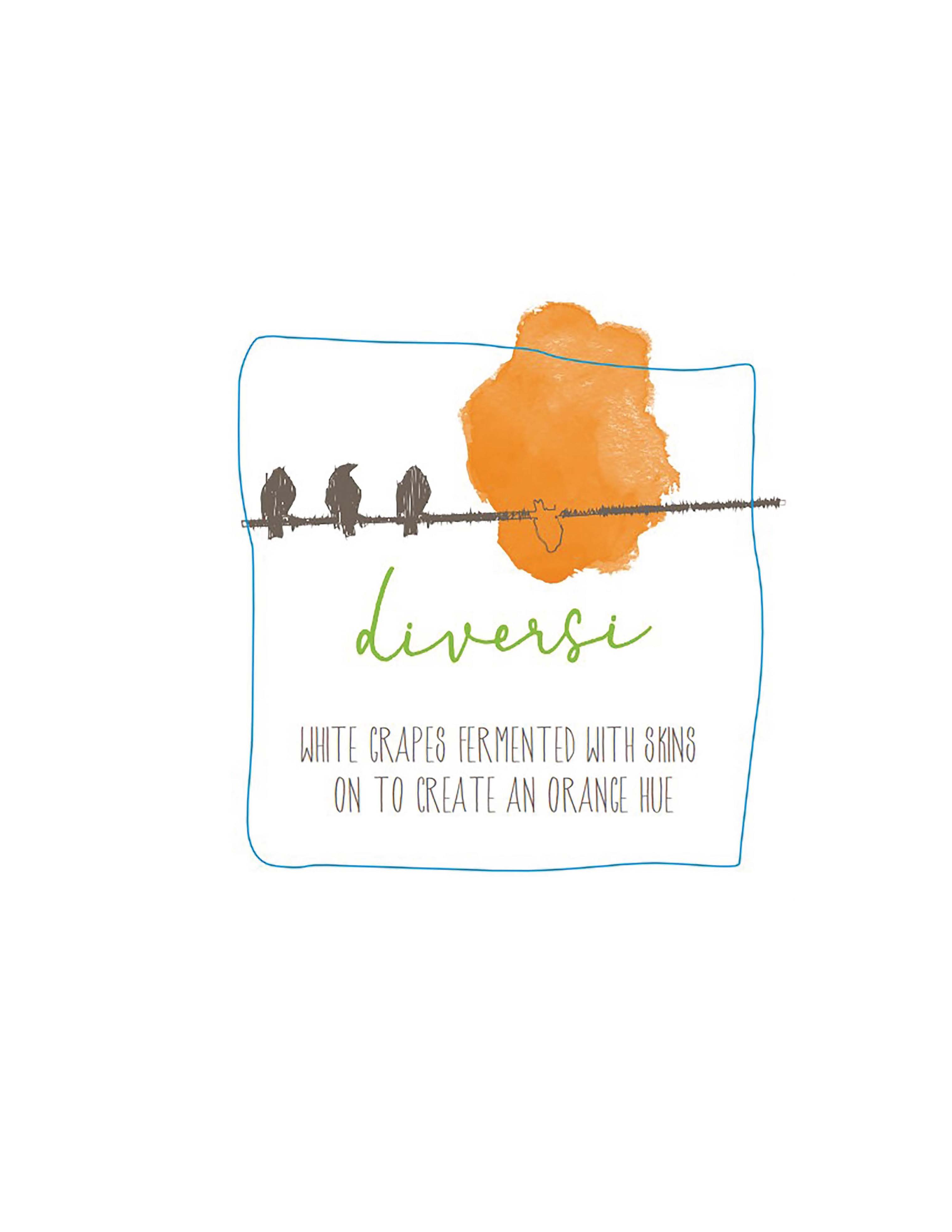 TABC label artwork for Diversi Orange Wine