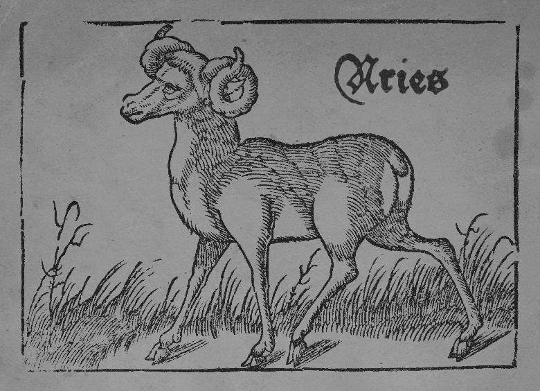 TABC label artwork for Robert Sinskey Vineyards Aries Pinot Noir