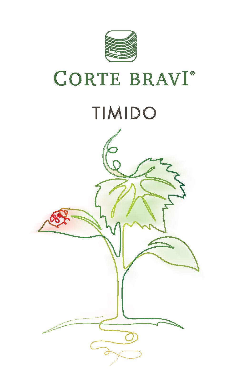 TABC label artwork for Corte Bravi Timido Bianco