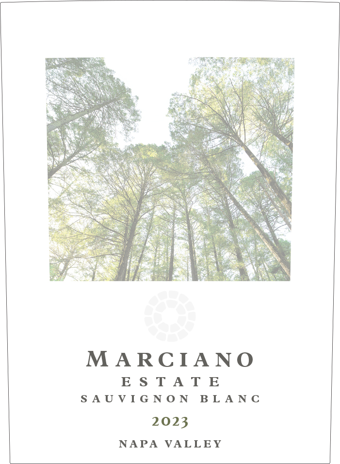 TABC label artwork for Marciano Estate Sauvignon Blanc