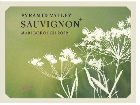 TABC label artwork for Pyramid Valley Sauvignon + Marlborough Sauvignon Blanc