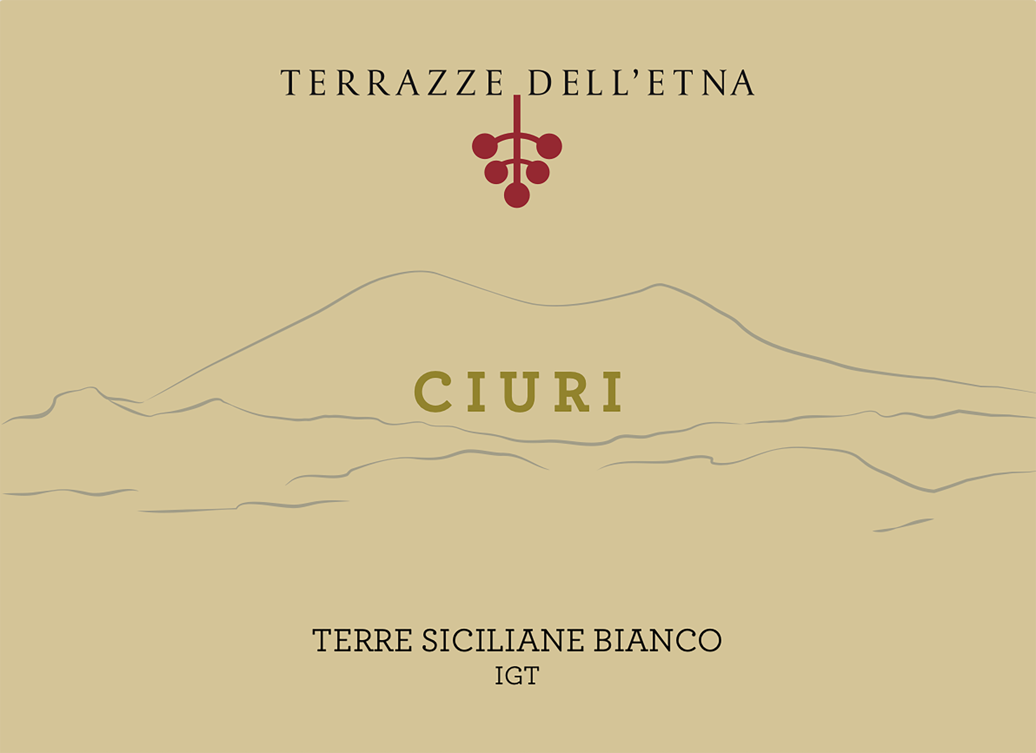 TABC label artwork for Terrazze dell' Etna "Ciuri" Terre Siciliane Bianco IGT