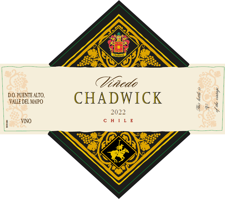 TABC label artwork for Vinedo Chadwick Cabernet Sauvignon Puente Alto-Maipo Valley