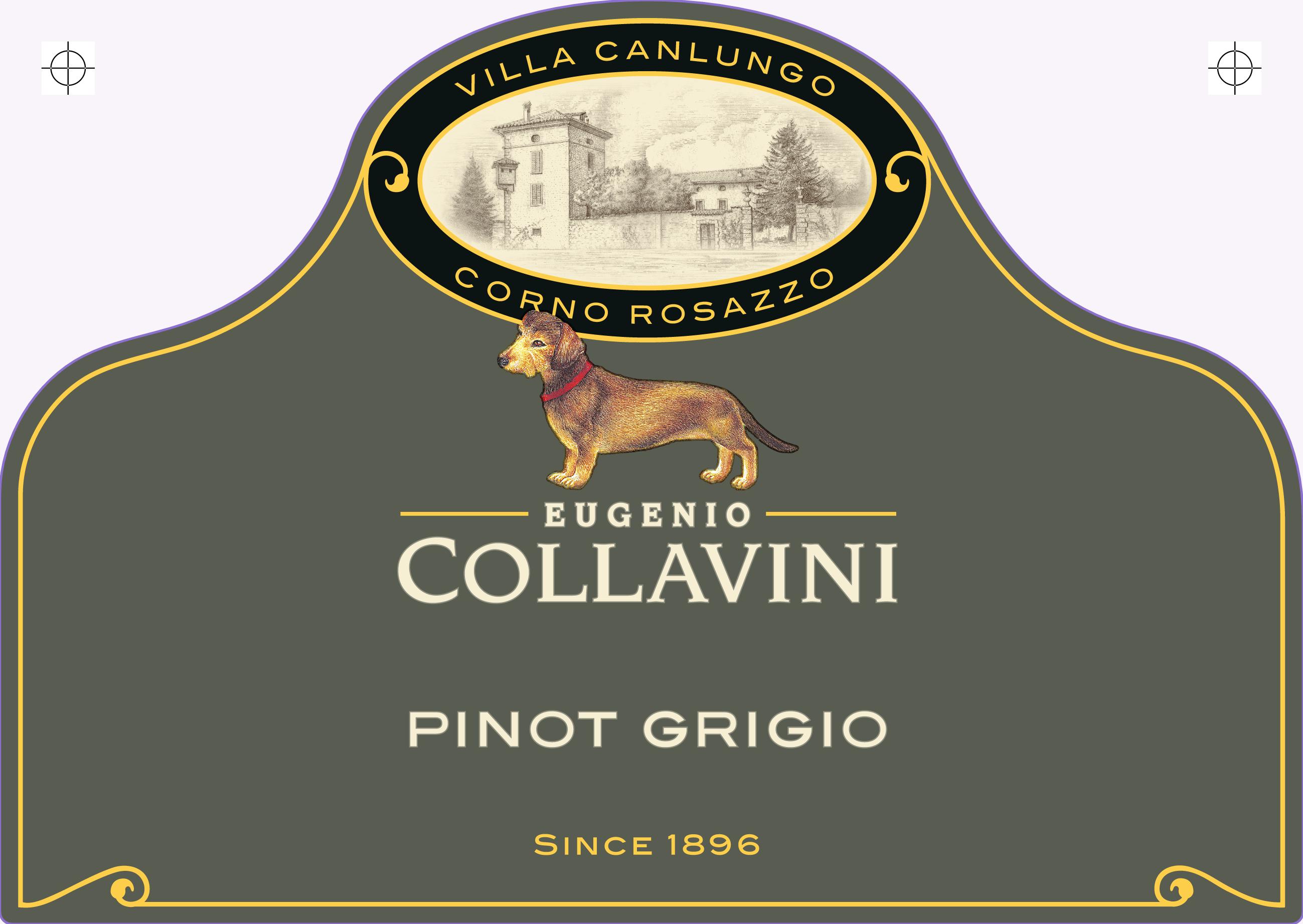 TABC label artwork for EUGENIO COLLAVINI PINOT GRIGIO